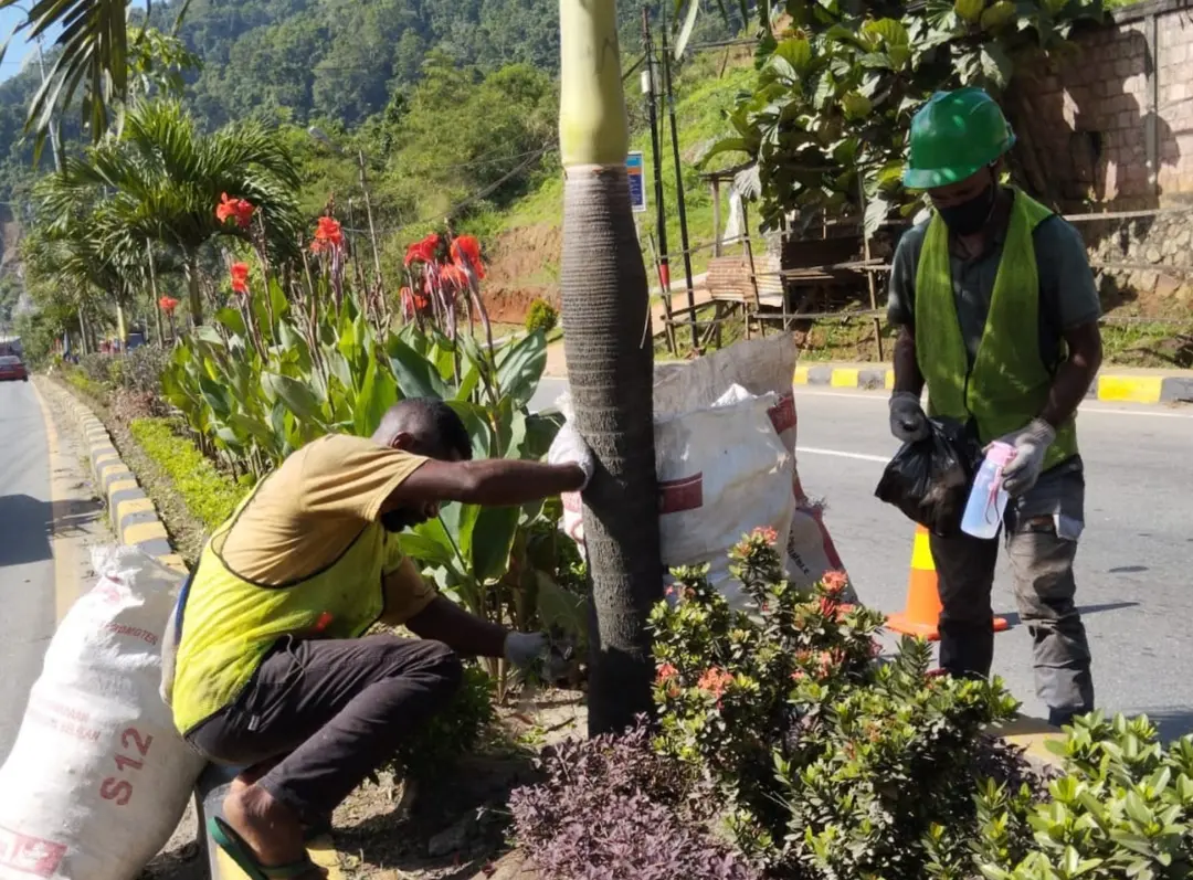 Gambar ke-1 dari Perawatan & Pemeliharaan Taman