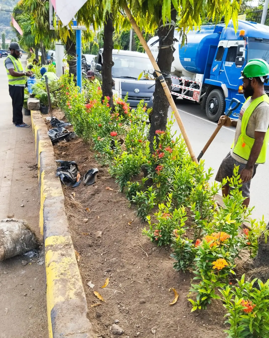 Gambar ke-2 dari Perawatan & Pemeliharaan Taman